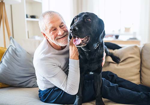 Amenities-senior-with-dog Amenities-senior-with-dog